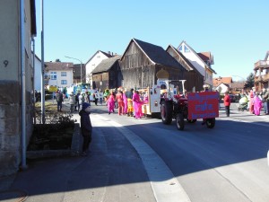 2017.02.26 Faschingszug (11)