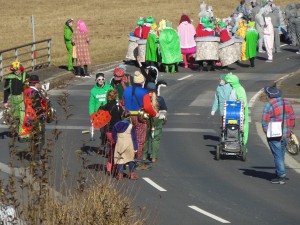 2017.02.26 Faschingszug (14)