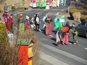 2017.02.26 Faschingszug (15)