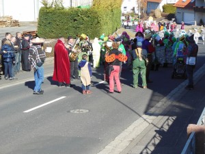 2017.02.26 Faschingszug (20)