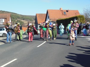 2017.02.26 Faschingszug (24)
