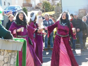 2017.02.26 Faschingszug (32)