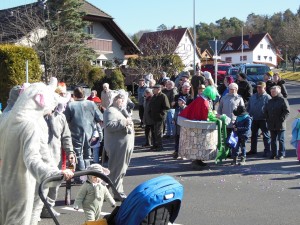 2017.02.26 Faschingszug (34)