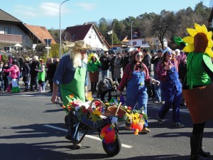 2017.02.26 Faschingszug (40)