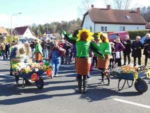2017.02.26 Faschingszug (41)