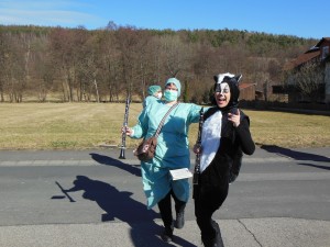 2017.02.26 Faschingszug (5)