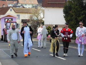 2017.02.26 Faschingszug (67)
