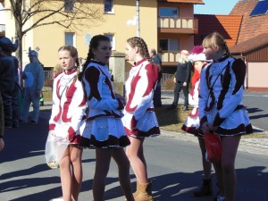 2017.02.26 Faschingszug (9)