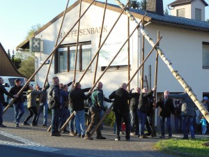 Maibaumaufst 2017 (11)