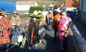 Fasching 2015 (10)
