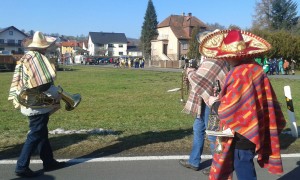 Fasching 2015 (5)