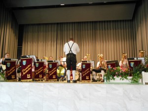 Kurkonzert Bad Bocklet 10.06.2016 001 (9)