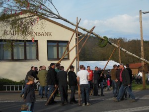 Maibaumaufstellung 2016 (15)