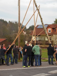 Maibaumaufstellung 2016 (22)