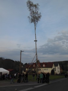 Maibaumaufstellung 2016 (25)
